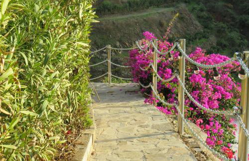 Finca RustiQ - Photo 20