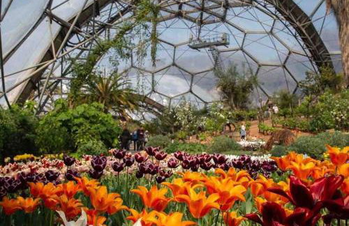 Saint Chads Lodge Near EDEN Luxulyan - Foto 20