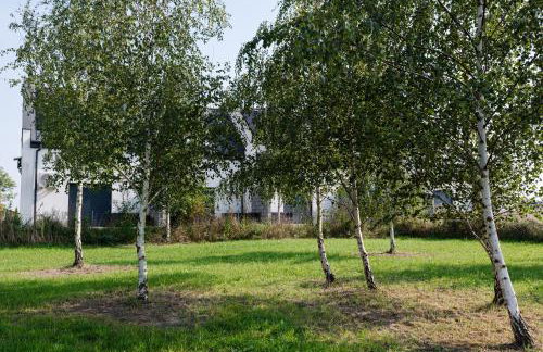 Domki Ostoja - nad Bałtykiem - cisza i piękno natury - Photo 62