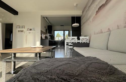 Zaczarowane Wzgórze - Domek w Beskidach - Foto 17