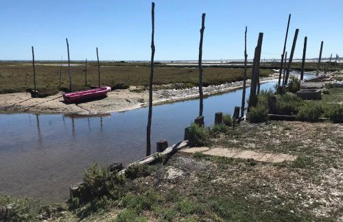 Aux pieds des plages, du port, de la piste cyclable et des commerces de proximité, un studio au dernier étage avec une vue panoramique sur le Bassin d'Arcachon, entièrement rénové, dans une résidence avec piscine - Foto 46