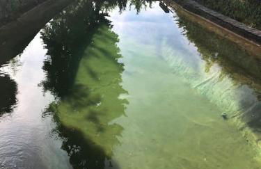 Apartment Joelle mit Sauna, Schwimmteich und Gym - Photo 20