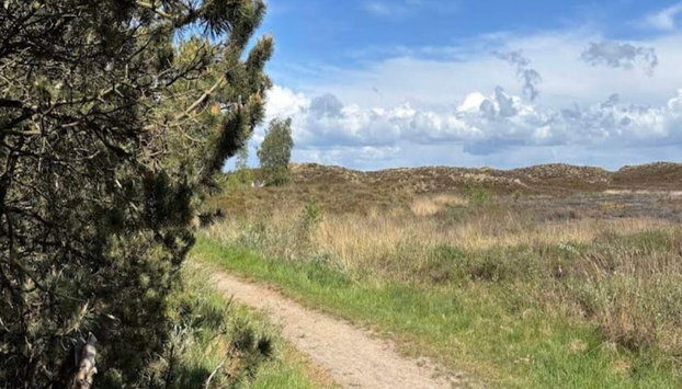 6 Person Holiday Home in Romo-by Traum - Foto 5, Miscelánea