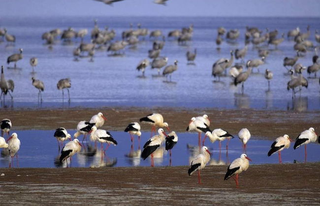 Casa Rural La Lagunilla Golf - Photo 68