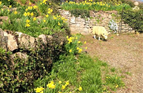 The Coach House - Photo 19