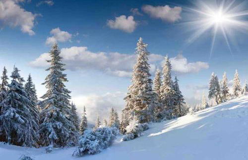 Ferienwohnung HYGGELIG - Göttingen Harz Duderstadt - Foto 31