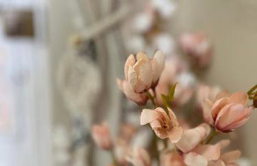 Iliodromi - The Sun Path Retreat - Photo 14