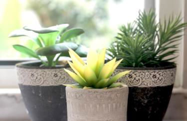 Charming design apartment with garden in Moita - Foto 15