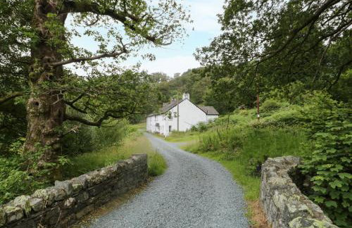 Scale Force - Foto 30