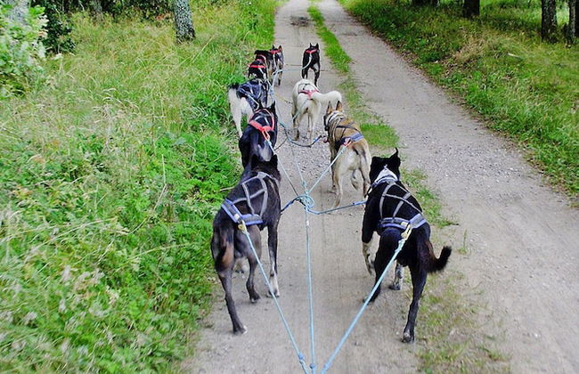 Holiday Apartment in the Countryside, Biskupice - Foto 16