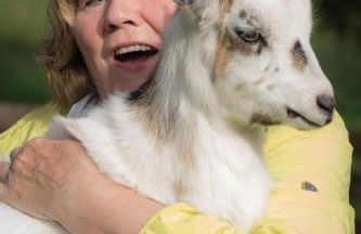 Ferienwohnung Schwalbennest - Foto 20