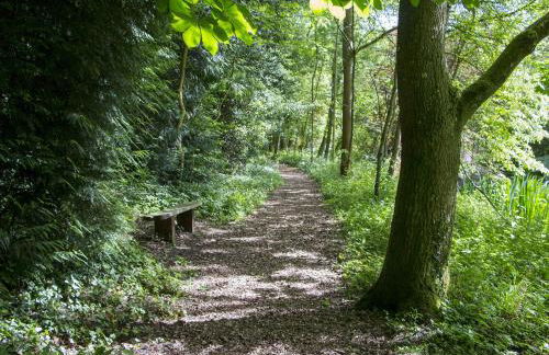 Bay Tree Cottage - Foto 9