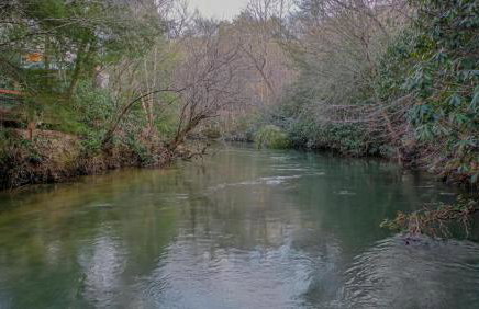 Fighting Creek Cabin - Foto 33