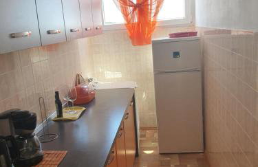 Apartman Mare Pjescana Uvala - Foto 15