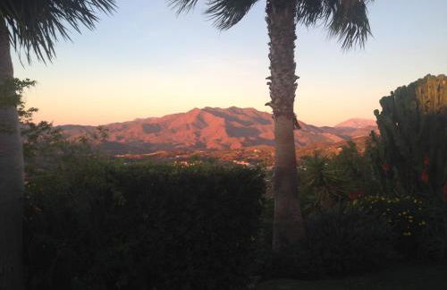 Finca Lechuza - Photo 40