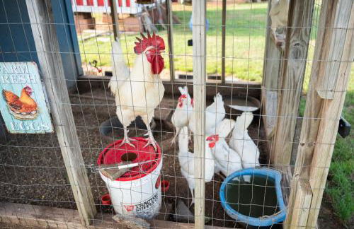 6BR Rural Retreat Private Property #Skelly - Foto 61