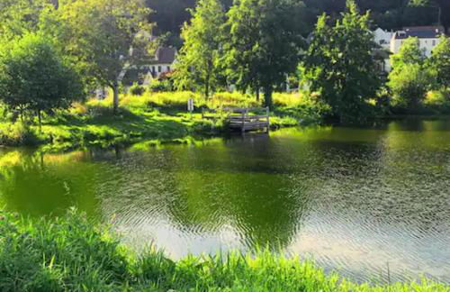 Appartement spacieux et élégant avec jardin - Foto 18