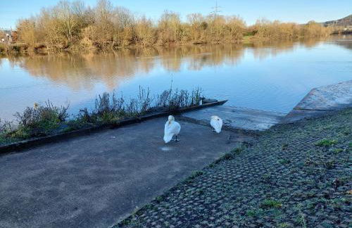 Merziger Fußgängerzone - Photo 14