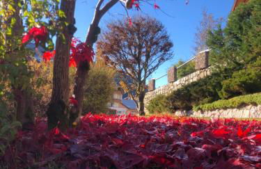 Al Truciolo - Foto 37