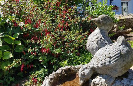 Yetland Farm Holiday Cottages - Foto 21