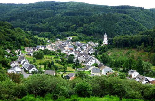 Relaxen am Eifelbach - Foto 7