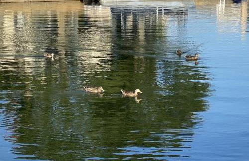 Lakeside Daze! - Foto 51