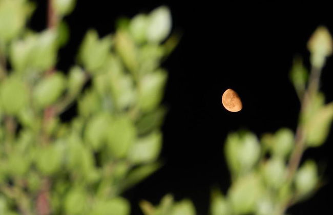 Remarkable 3double-bed House in Daskalio - Foto 18