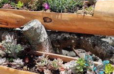 Casinha de Pedra - Photo 18