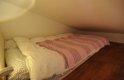 Alla Cantina - Foto 15