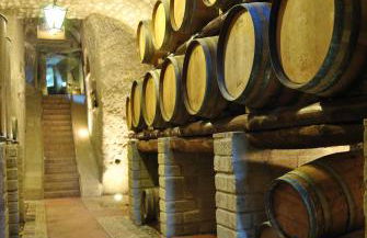 Tenute del Gheppio - Foto 13