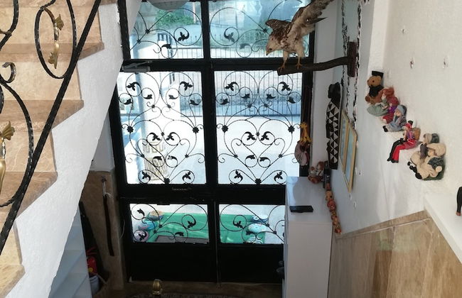 Perice Konak - Photo 56