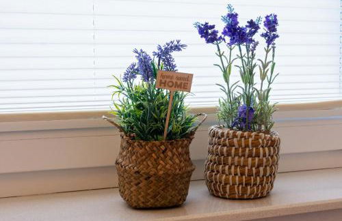 Warfenblick - Foto 14