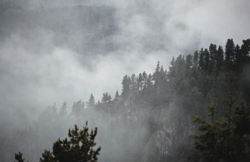 Hirschhof Pfrein - Hideaway - Photo 6