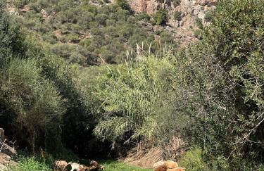 Authentic Luxury Villa in Oasis with Pool close to Malaga - Foto 28