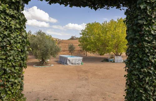 La casita del Abuelo - Foto 32