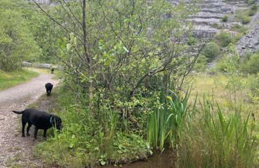 Kabin in the woods with Hot Tub - Foto 74