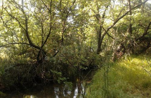 Wood Cabins by the River - for Nature Lovers - Photo 26