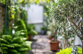 Ferienwohnung Koblenz Altstadt - Foto 46