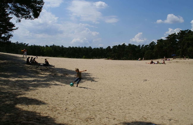 Holiday Home Buitenplaats Berg With 5 Rooms - Foto 29