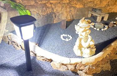 Mardelava - Photo 12