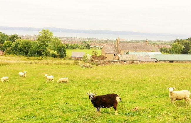 Burleigh House - Foto 33