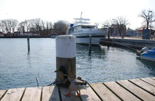 Appartement Werft & Meer - Foto 26