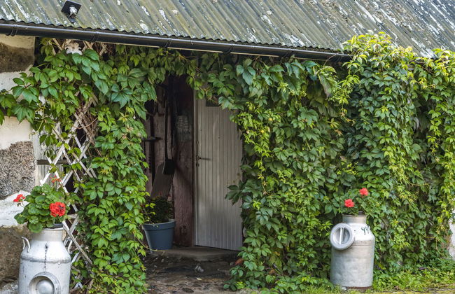 2 bedroom House in Siretorp with garden - Photo 7