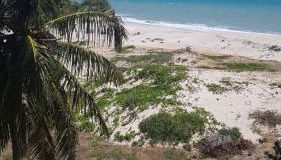 Paraiso de Maracajau 1 - Foto 5