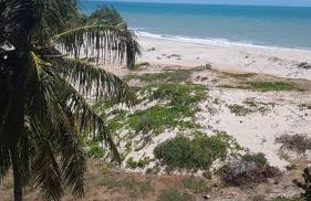 Paraiso de Maracajau 1 - Foto 5