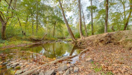 Families Welcome! Creekside Escape in Summerville - Foto 2