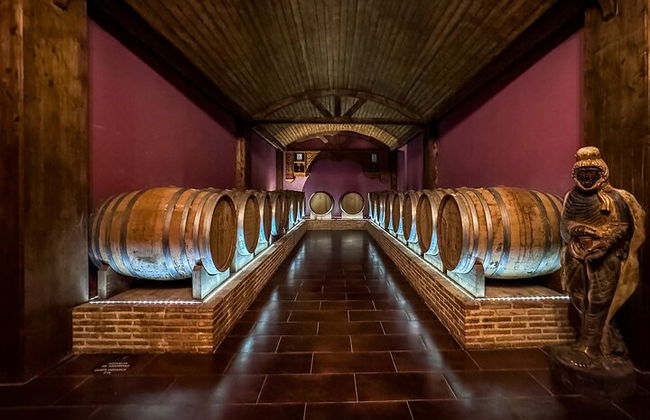 VIP Wine Experience | Costa Blanca’s Hidden Estates - Foto 16