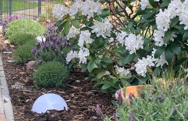 Bungalowpark am Salzhaff - Foto 24