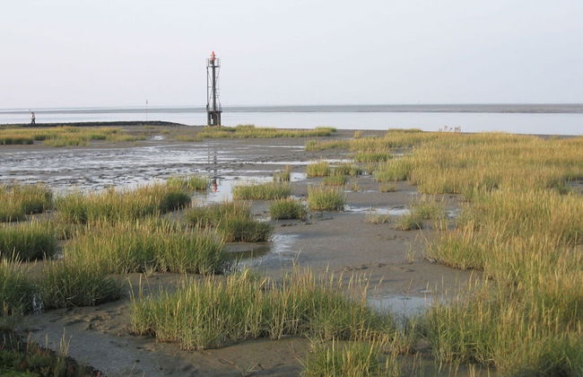 Roof-only House Modern Retreat - Photo 22