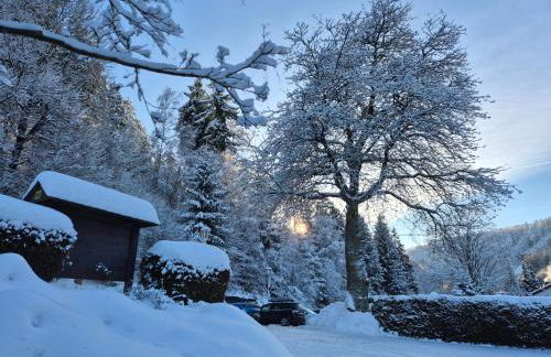 Ferienwohnungen Tannenhof - Foto 6